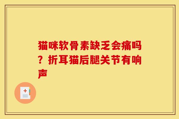 猫咪软骨素缺乏会痛吗？折耳猫后腿关节有响声