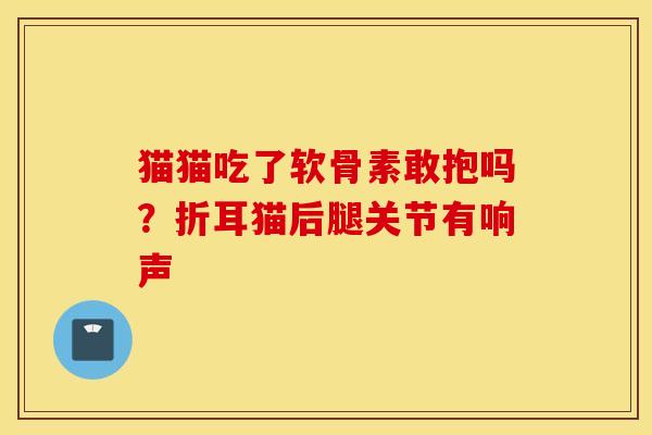 猫猫吃了软骨素敢抱吗？折耳猫后腿关节有响声