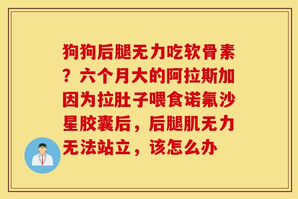 狗狗后腿无力吃软骨素？六个月大的阿拉斯加因为拉肚子喂食诺氟沙星胶囊后，后腿肌无力无法站立，该怎么办