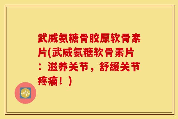 武威氨糖骨胶原软骨素片(武威氨糖软骨素片：滋养关节，舒缓关节疼痛！)