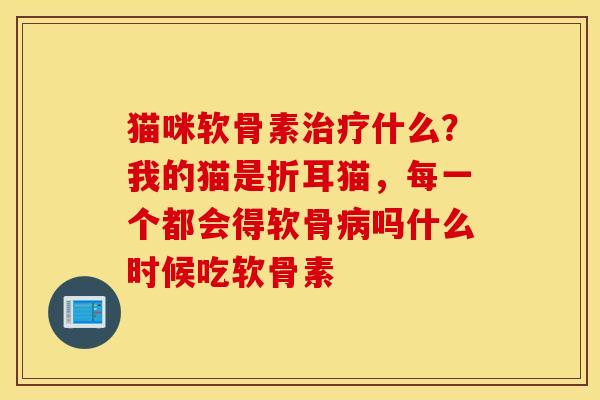 猫咪软骨素治疗什么？我的猫是折耳猫，每一个都会得软骨病吗什么时候吃软骨素