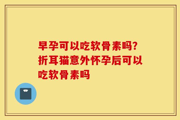 早孕可以吃软骨素吗？折耳猫意外怀孕后可以吃软骨素吗