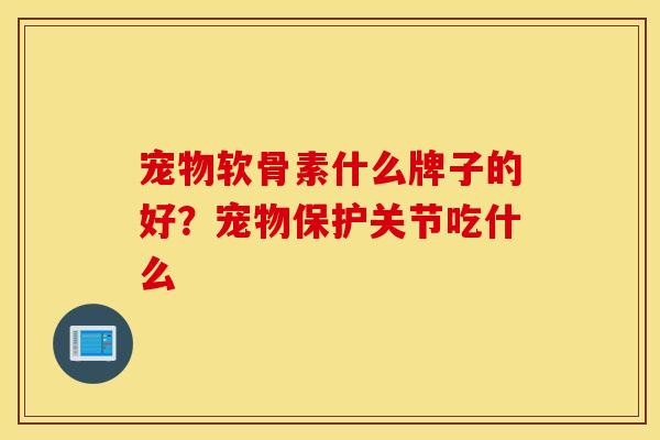 宠物软骨素什么牌子的好？宠物保护关节吃什么