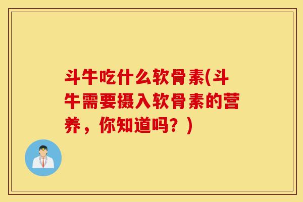 斗牛吃什么软骨素(斗牛需要摄入软骨素的营养,你知道吗?) 斗牛吃什么软骨素(斗牛需要摄入软骨素的营养,你知道吗?)