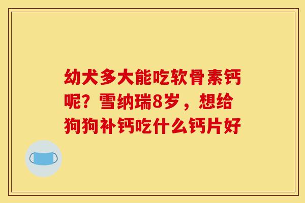 幼犬多大能吃软骨素钙呢？雪纳瑞8岁，想给狗狗补钙吃什么钙片好