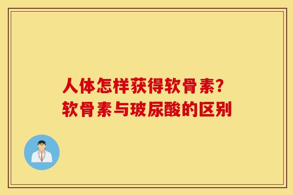 人体怎样获得软骨素？软骨素与玻尿酸的区别