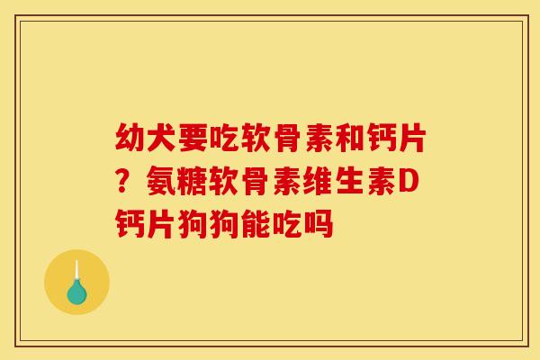 幼犬要吃软骨素和钙片？氨糖软骨素维生素D钙片狗狗能吃吗