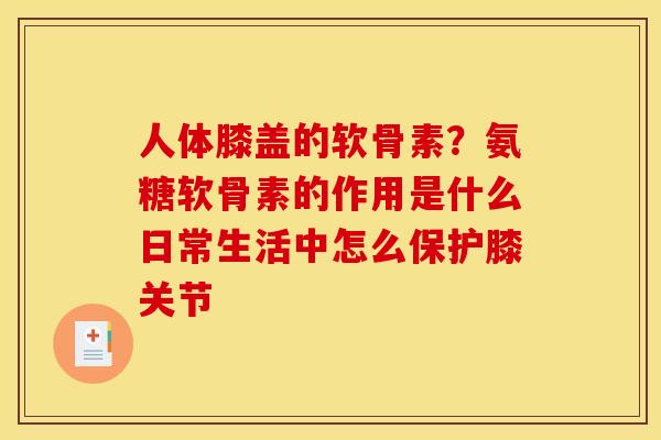 人体膝盖的软骨素？氨糖软骨素的作用是什么日常生活中怎么保护膝关节