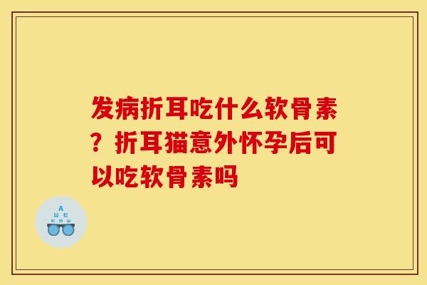 发病折耳吃什么软骨素？折耳猫意外怀孕后可以吃软骨素吗