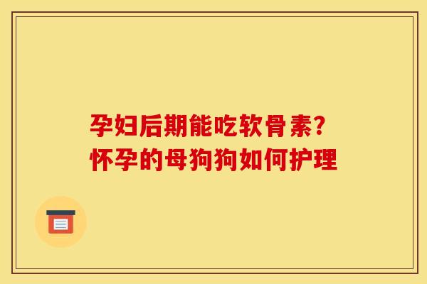 孕妇后期能吃软骨素？怀孕的母狗狗如何护理