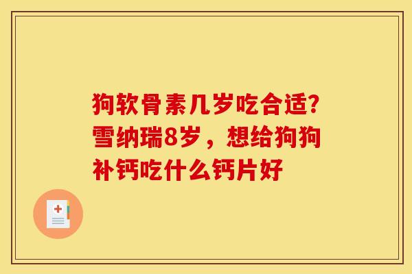 狗软骨素几岁吃合适？雪纳瑞8岁，想给狗狗补钙吃什么钙片好