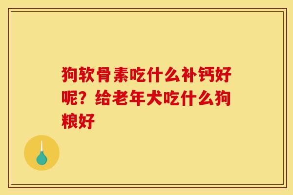 狗软骨素吃什么补钙好呢？给老年犬吃什么狗粮好