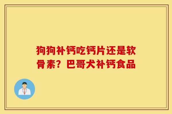 狗狗补钙吃钙片还是软骨素？巴哥犬补钙食品