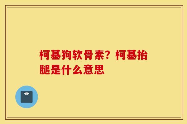 柯基狗软骨素？柯基抬腿是什么意思
