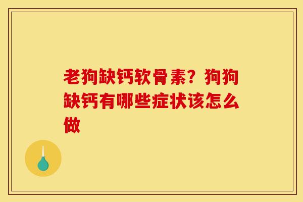 老狗缺钙软骨素？狗狗缺钙有哪些症状该怎么做