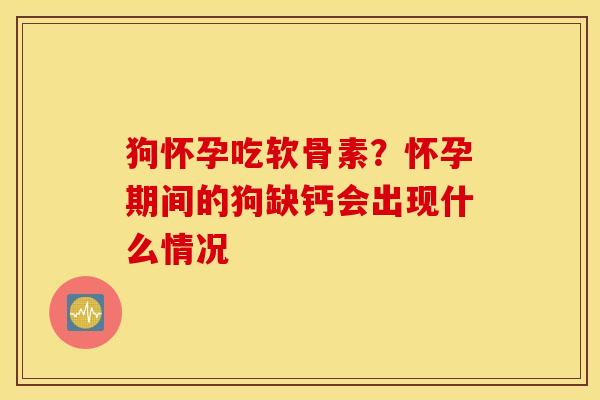 狗怀孕吃软骨素？怀孕期间的狗缺钙会出现什么情况