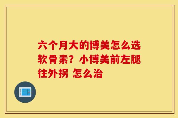 六个月大的博美怎么选软骨素？小博美前左腿往外拐 怎么治