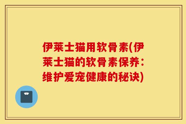 伊莱士猫用软骨素(伊莱士猫的软骨素保养：维护爱宠健康的秘诀)