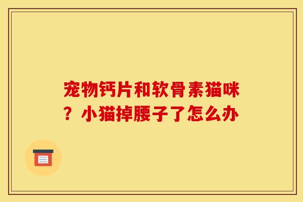 宠物钙片和软骨素猫咪？小猫掉腰子了怎么办