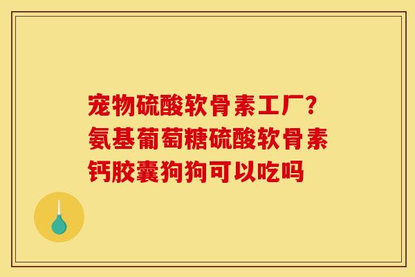 宠物硫酸软骨素工厂？氨基葡萄糖硫酸软骨素钙胶囊狗狗可以吃吗
