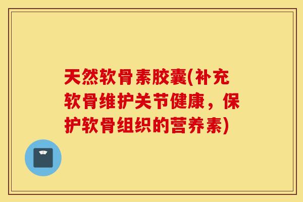 天然软骨素胶囊(补充软骨维护关节健康,保护软骨组织的营养素) 天然软骨素胶囊(补充软骨维护关节健康,保护软骨组织的营养素)