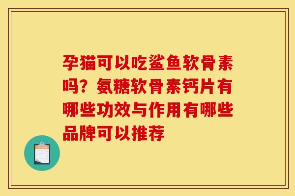 孕猫可以吃鲨鱼软骨素吗？氨糖软骨素钙片有哪些功效与作用有哪些品牌可以推荐