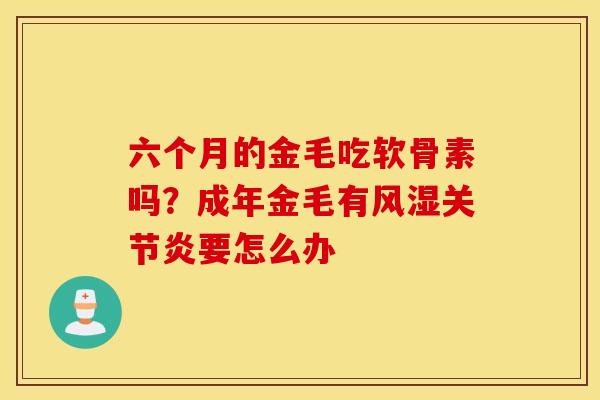六个月的金毛吃软骨素吗？成年金毛有风湿关节炎要怎么办
