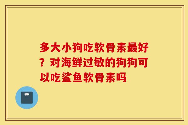 多大小狗吃软骨素最好？对海鲜过敏的狗狗可以吃鲨鱼软骨素吗