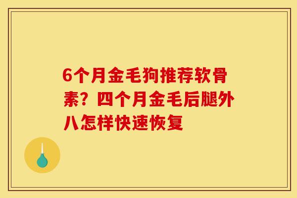 6个月金毛狗推荐软骨素？四个月金毛后腿外八怎样快速恢复