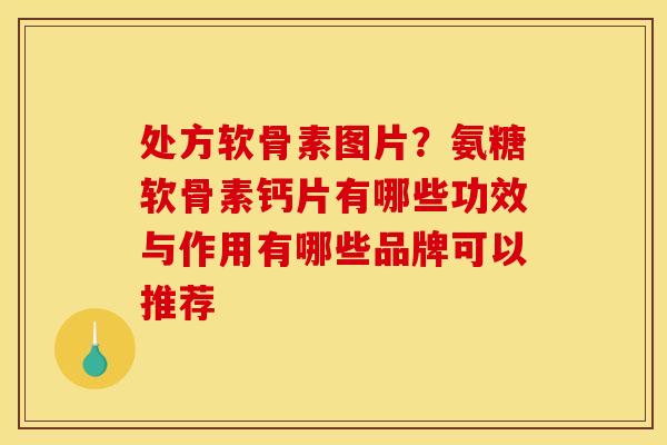 处方软骨素图片?氨糖软骨素钙片有哪些功效与作用有哪些品牌可以推荐 处方软骨素图片?氨糖软骨素钙片有哪些功效与作用有哪些品牌可以推荐