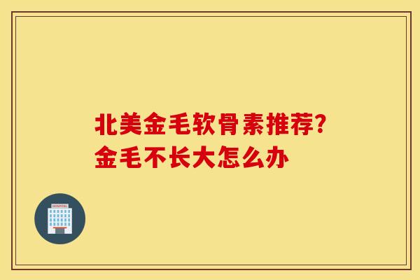 北美金毛软骨素推荐？金毛不长大怎么办
