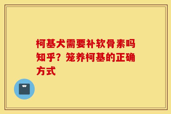 柯基犬需要补软骨素吗知乎？笼养柯基的正确方式