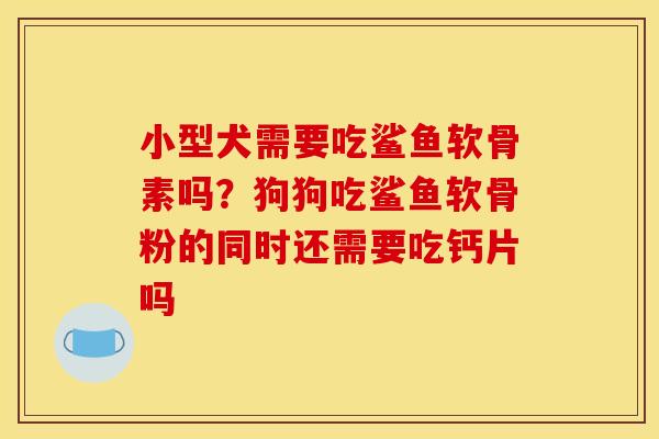 小型犬需要吃鲨鱼软骨素吗？狗狗吃鲨鱼软骨粉的同时还需要吃钙片吗