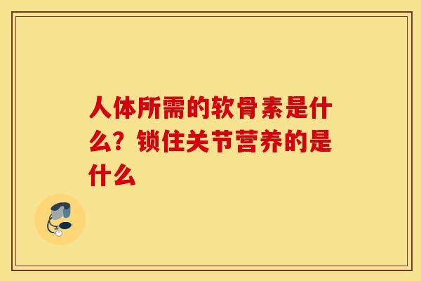 人体所需的软骨素是什么？锁住关节营养的是什么