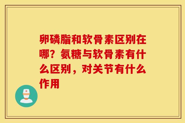 卵磷脂和软骨素区别在哪?氨糖与软骨素有什么区别,对关节有什么作用 卵磷脂和软骨素区别在哪?氨糖与软骨素有什么区别,对关节有什么作用
