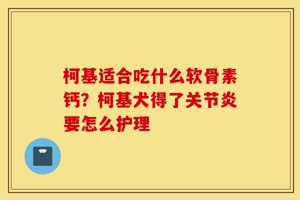 柯基适合吃什么软骨素钙？柯基犬得了关节炎要怎么护理