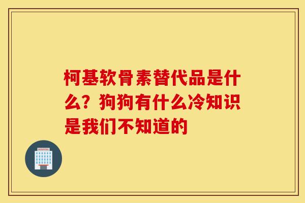 柯基软骨素替代品是什么？狗狗有什么冷知识是我们不知道的