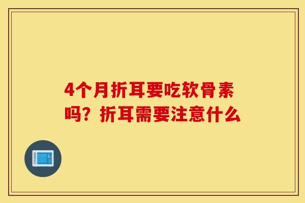 4个月折耳要吃软骨素吗？折耳需要注意什么