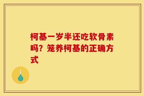 柯基一岁半还吃软骨素吗？笼养柯基的正确方式