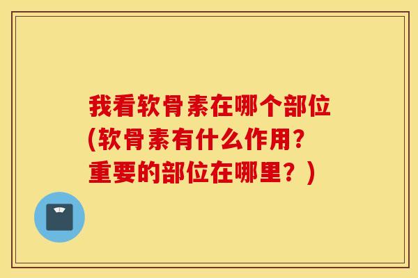 我看软骨素在哪个部位(软骨素有什么作用？重要的部位在哪里？)