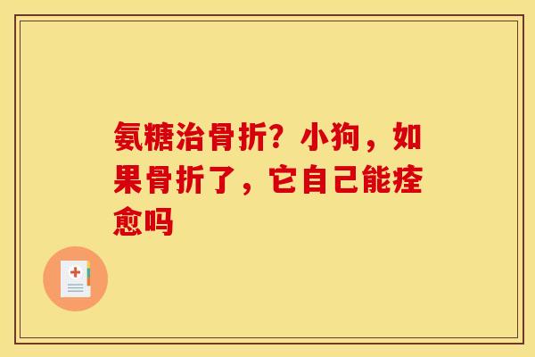 氨糖治骨折？小狗，如果骨折了，它自己能痊愈吗