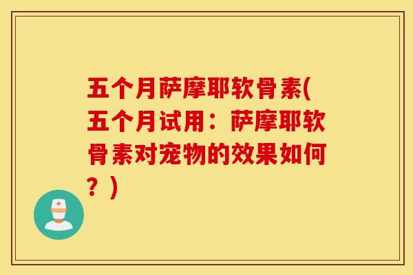 五个月萨摩耶软骨素(五个月试用：萨摩耶软骨素对宠物的效果如何？)