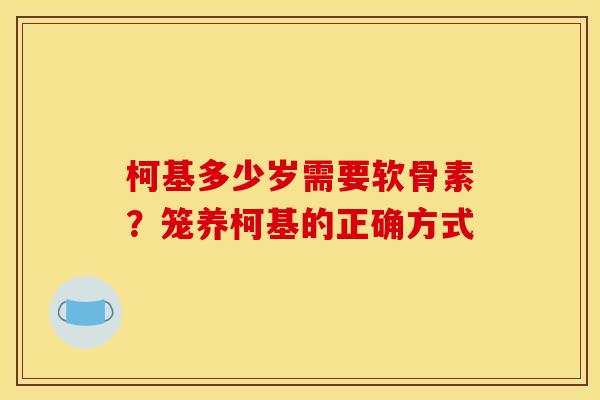 柯基多少岁需要软骨素？笼养柯基的正确方式