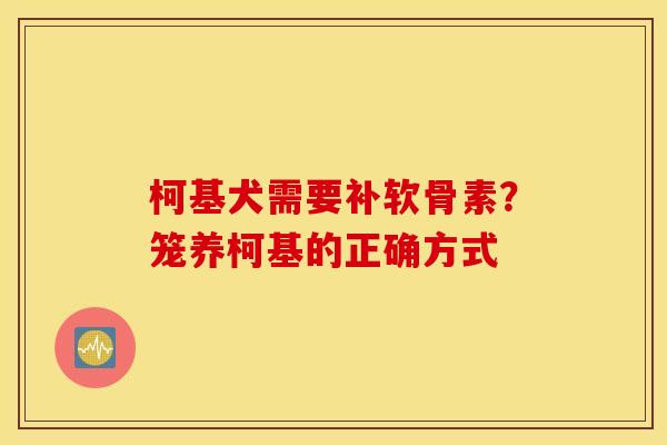 柯基犬需要补软骨素？笼养柯基的正确方式