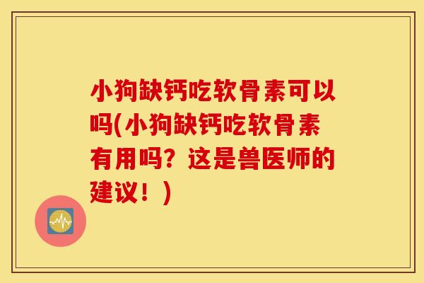 小狗缺钙吃软骨素可以吗(小狗缺钙吃软骨素有用吗？这是兽医师的建议！)