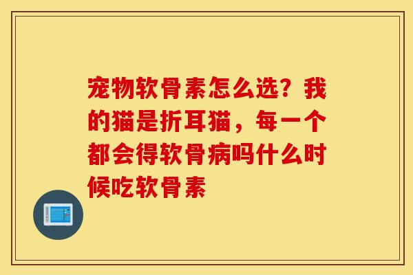 宠物软骨素怎么选？我的猫是折耳猫，每一个都会得软骨病吗什么时候吃软骨素