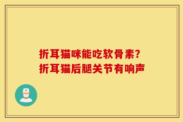 折耳猫咪能吃软骨素？折耳猫后腿关节有响声