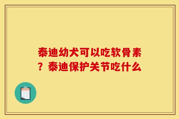 泰迪幼犬可以吃软骨素？泰迪保护关节吃什么