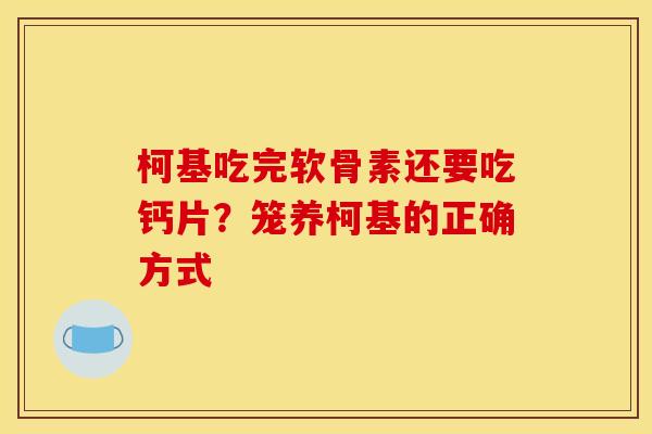 柯基吃完软骨素还要吃钙片？笼养柯基的正确方式