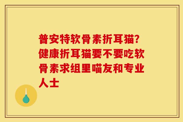 普安特软骨素折耳猫？健康折耳猫要不要吃软骨素求组里喵友和专业人士
